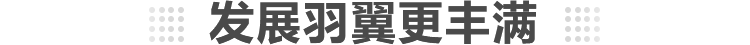 发展羽翼更丰满